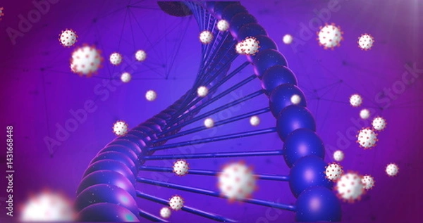Fototapeta Covid-19 cells floating over dna structure and network of connections against purple background