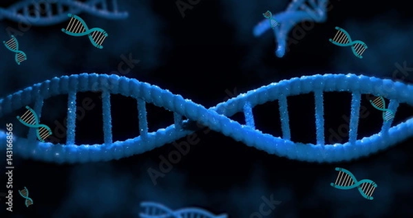 Fototapeta Digital image of multiple dna structure spinning against blue background