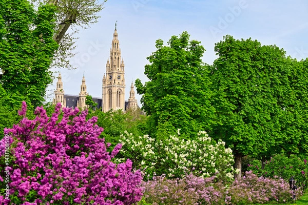 Obraz Volksgarten with lilac flowers and Rathaus tower in the background,Vienna,springtime