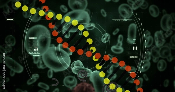 Fototapeta Image of dna strand and data processing over virus and blood cells