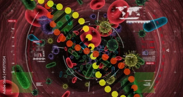 Fototapeta Image of dna strand and data processing over virus cells