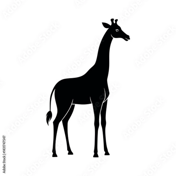 Fototapeta Black Vector Silhouette Giraffe Looking Back