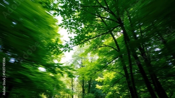 Fototapeta Moving Through Green Forest Canopy with Leafy Tree Branches