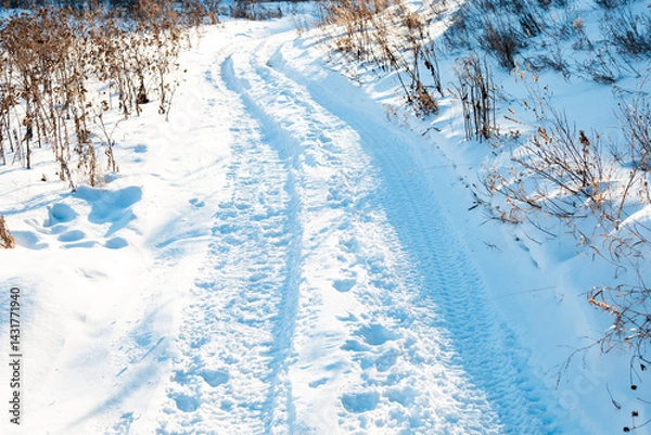 Fototapeta A snow covered path with tracks in the snow