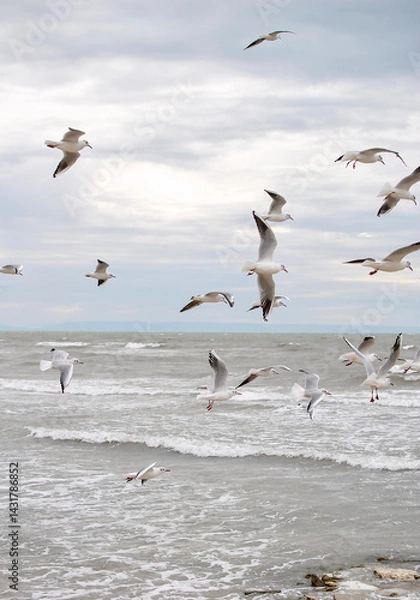 Fototapeta A flock of seagulls gracefully soars above the ocean waves, creating a dynamic scene against a cloudy sky. The coastal atmosphere evokes a sense of freedom and tranquility.