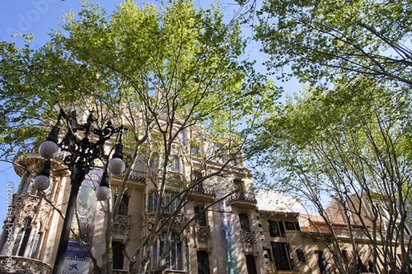 Obraz moidernism in majorca