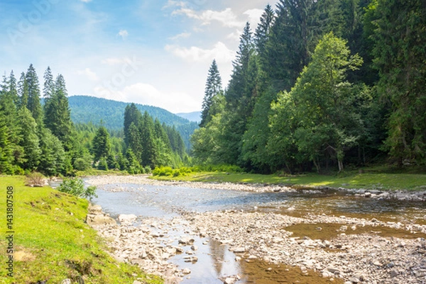 Fototapeta mountainous landscape of ukraine with tereblya river. forest on the hill along the grassy shore. scenery beneath a blue sky with clouds on a sunny day in summer. outdoor adventure and recreation
