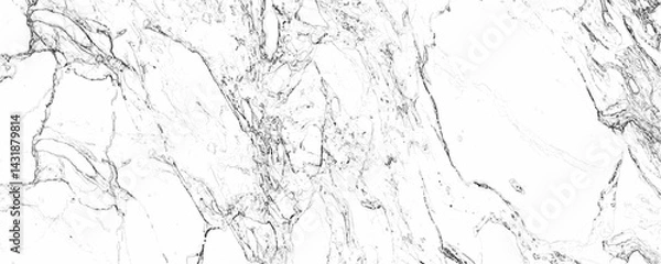 Obraz Creative Stone ceramic art wall interiors natural white marble texture. White marble texture luxury background. Elegant white marble texture background high resolution white stone floor pattern.