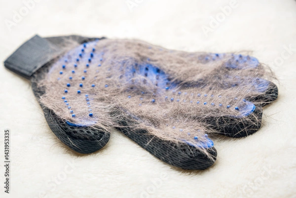 Fototapeta Cat hair in a glove for collecting shedding hair from pets