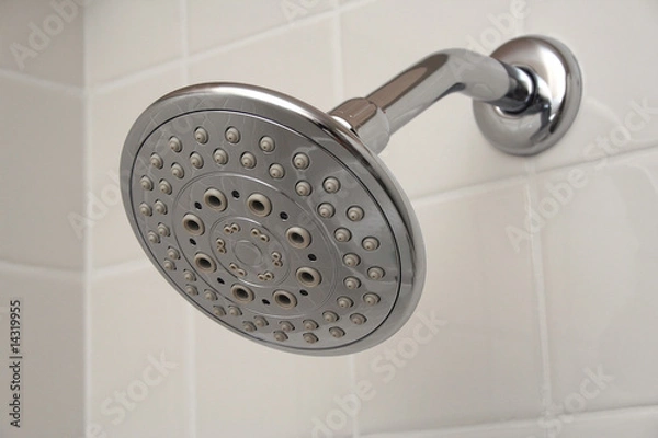 Obraz Chrome Shower Head
