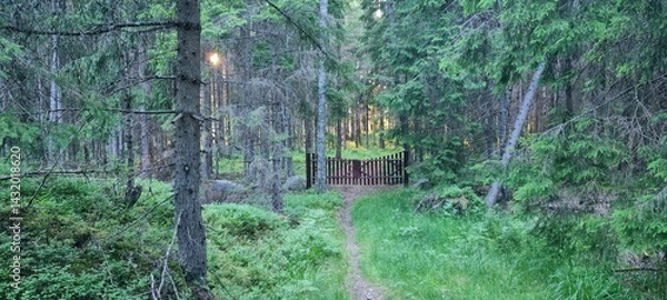 Fototapeta Forest Path with Wooden Gate at Sunset
