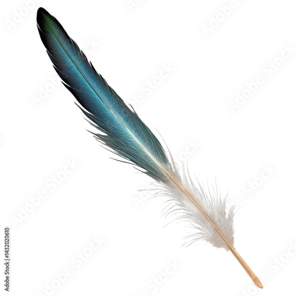 Obraz A blue feather quill pen with a gold-colored base, designed for calligraphy or vintage-style writing, displayed on a transparent background.