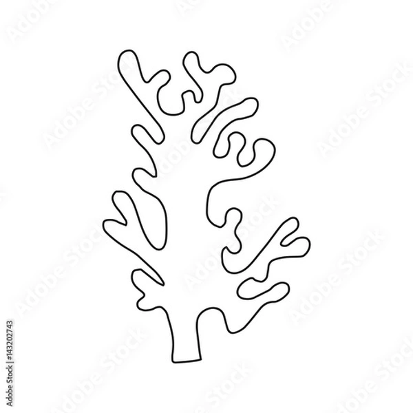 Obraz alga line drawing vector