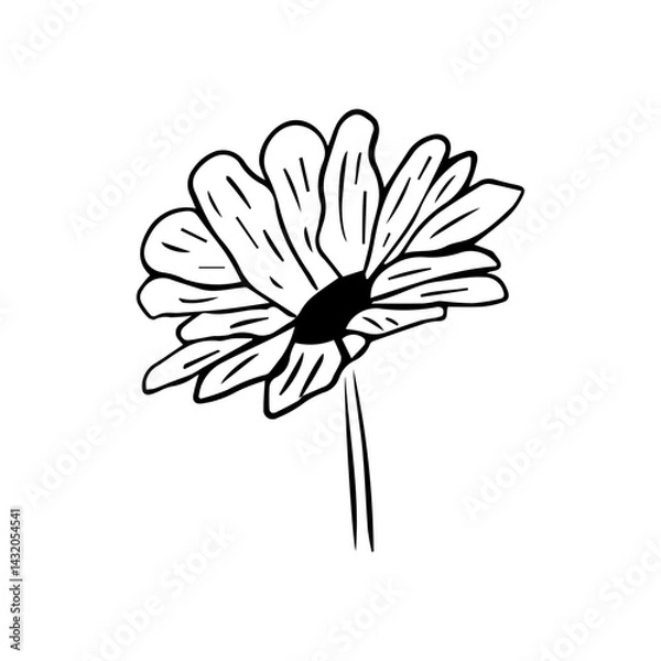Fototapeta Minimalist Line Art Flower. Elegant Botanical Outline Illustrations