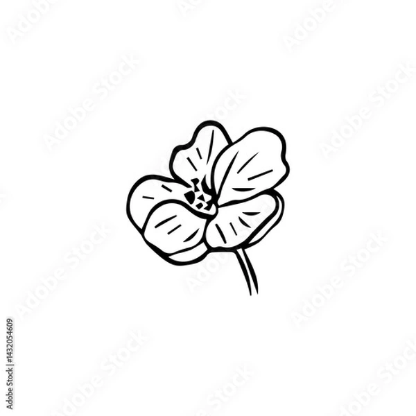 Fototapeta Minimalist Line Art Flower. Elegant Botanical Outline Illustrations
