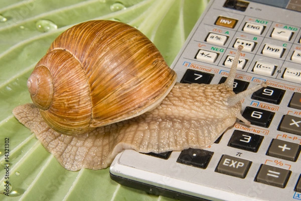 Obraz Mathematik Schnecke