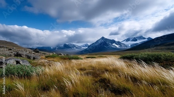 Obraz Scenic High Altitude Tundra Landscape with Wild Grasses in View