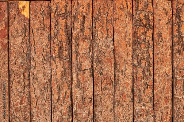 Obraz textura de madera de árbol con corteza tipo mesa