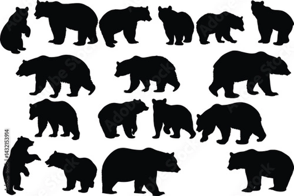 Fototapeta Set of bear silhouette vector illustration, bear in various pose