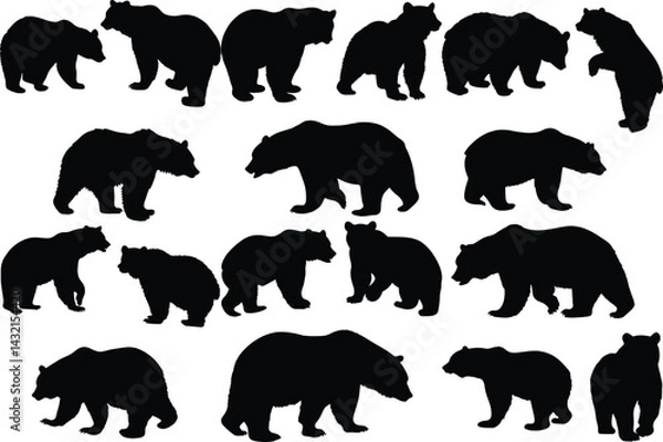 Fototapeta Set of bear silhouette vector illustration, bear in various pose