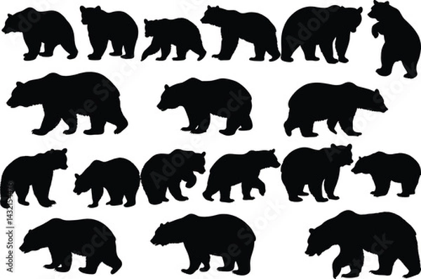 Fototapeta Set of bear silhouette vector illustration, bear in various pose