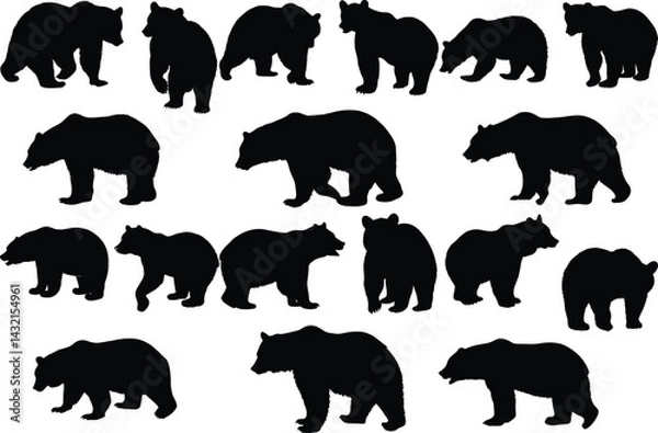 Fototapeta Set of bear silhouette vector illustration, bear in various pose