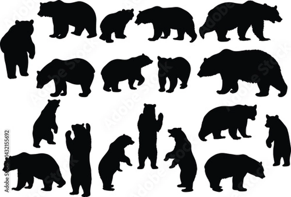 Fototapeta Set of bear silhouette vector illustration, bear in various pose