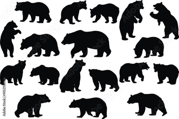 Fototapeta Set of bear silhouette vector illustration, bear in various pose