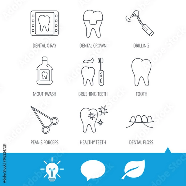 Fototapeta Stomatology, tooth and dental crown icons. X-ray, mouthwash and dental floss linear signs. Toothache, forceps icons. Light bulb, speech bubble and leaf web icons. Vector