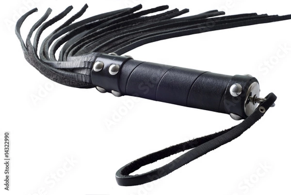 Obraz Black Strict Leather Flogging Whip
