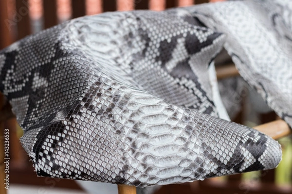 Obraz Reptile snake texture closeup, fashion zigzag snakeskin python picture.
