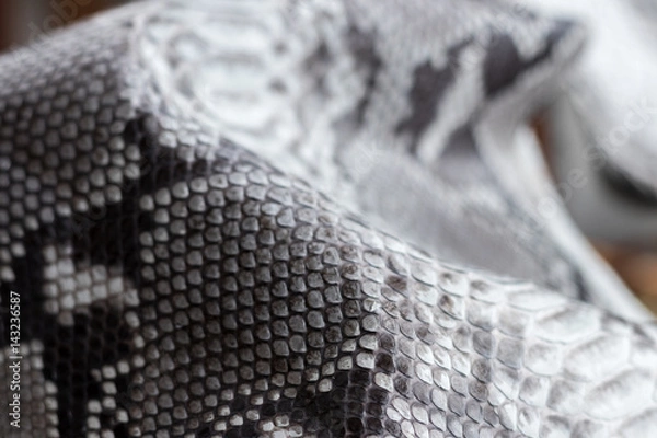 Obraz Reptile snake texture closeup, fashion zigzag snakeskin python picture.