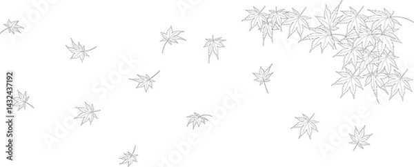 Obraz 風に舞うもみじの葉　モノクロラインのイラスト素材