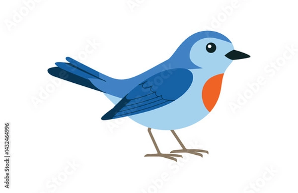 Fototapeta Warbler bird vector drawing