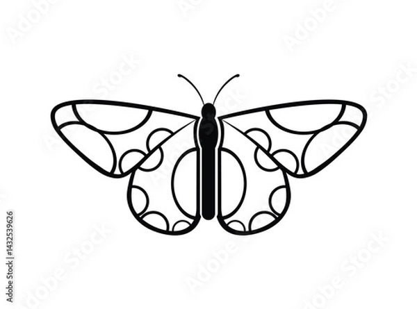 Fototapeta butterfly vector illustration