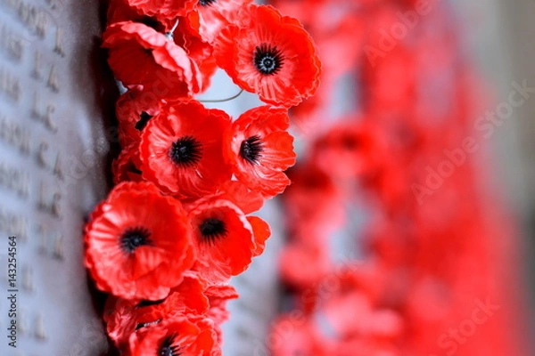 Fototapeta CANBERRA, Australia - 18 marca 2017 r. Mappy Wall wymienia nazwiska wszystkich Australijczyków, którzy zmarli w służbie armii. Czerwony Poppy stał się symbolem wspomnień wojennych (Dzień Anzaca) na całym świecie.