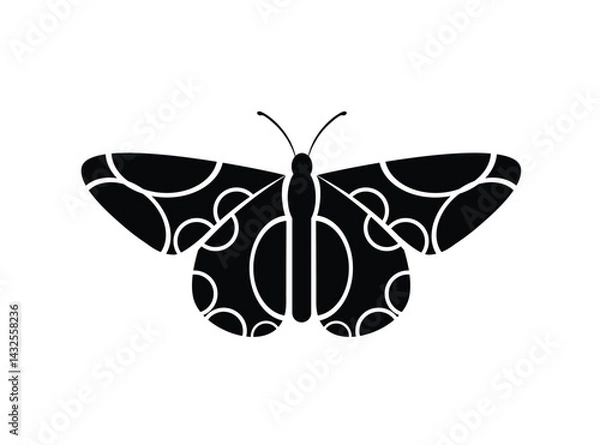 Fototapeta butterfly vector illustration