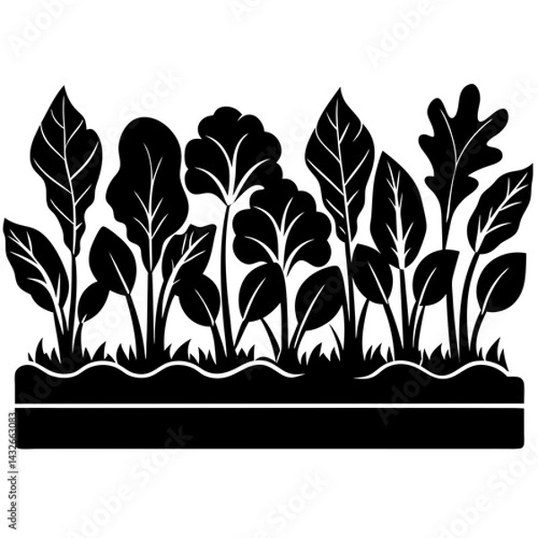 Fototapeta Vector silhouette of a row of vegetable plants with leafy greens, simple clean lines 