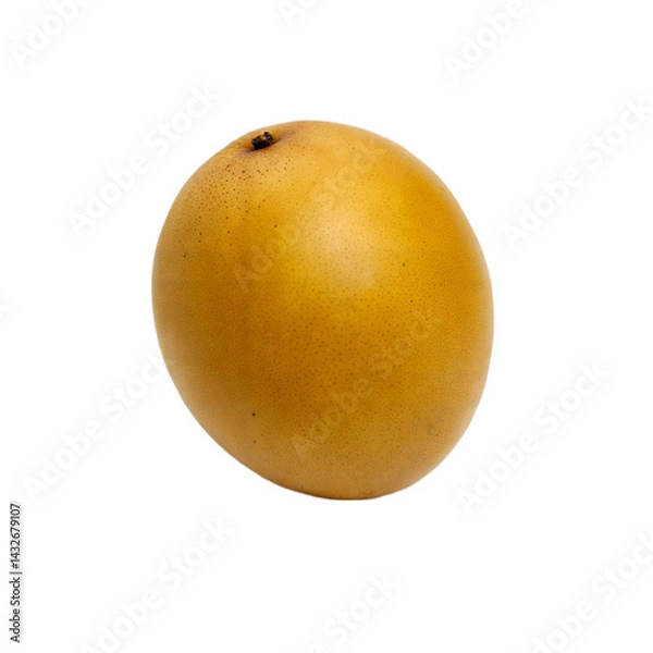 Obraz Golden Mango