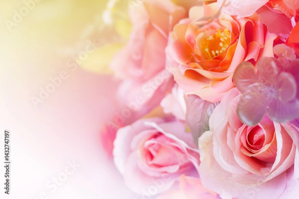 Fototapeta light pink roses in soft color and blur style for background