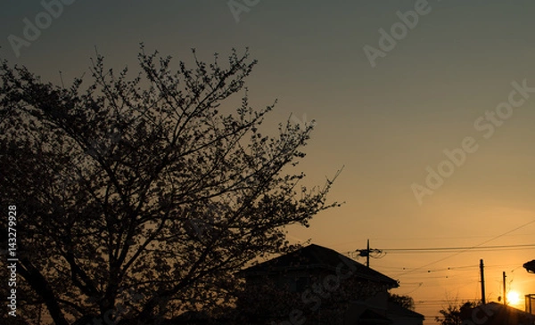 Fototapeta Setting sun