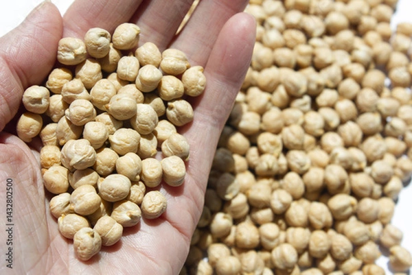 Obraz Chickpeas placed AND woman's hand