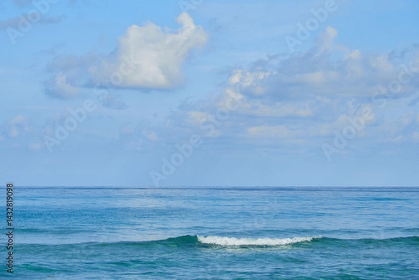 Obraz OLYMPUS DIGITAL CAMERA