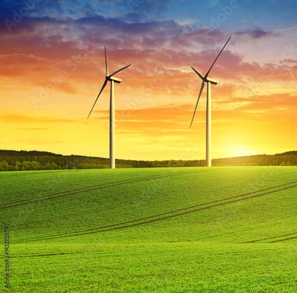 Fototapeta Rolling field with wind turbines at sunset. 