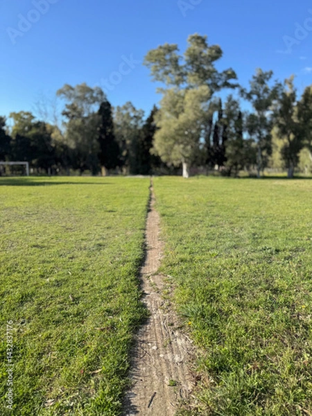 Obraz Paesaggio verde