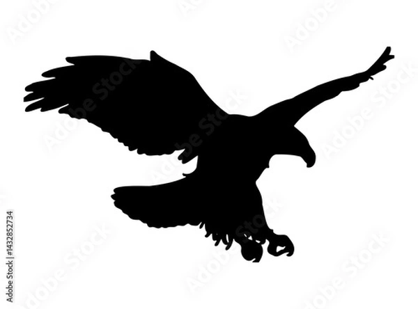 Obraz eagle in the sky