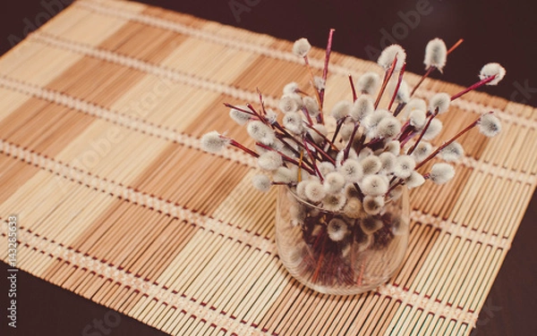 Obraz Веточки Вербы