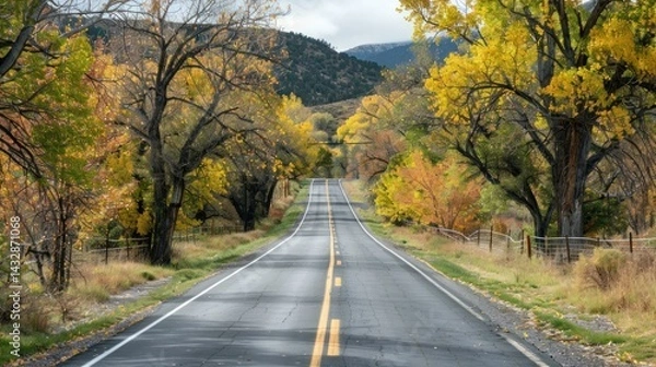 Fototapeta Scenic road lined with blooming trees