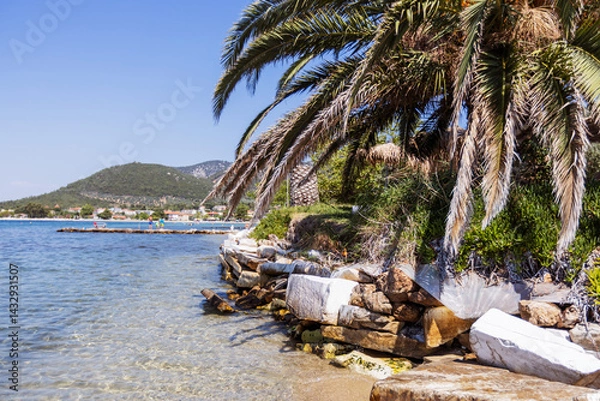 Obraz Idyllic beach landscape featuring a lush palm tree, weathered rocks, and sparkling clear water. A coastal town and mountains are visible in the distance.