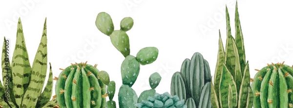 Obraz Vector banner cacti and succulents. Watercolor illustration. White background. For design, backgrounds